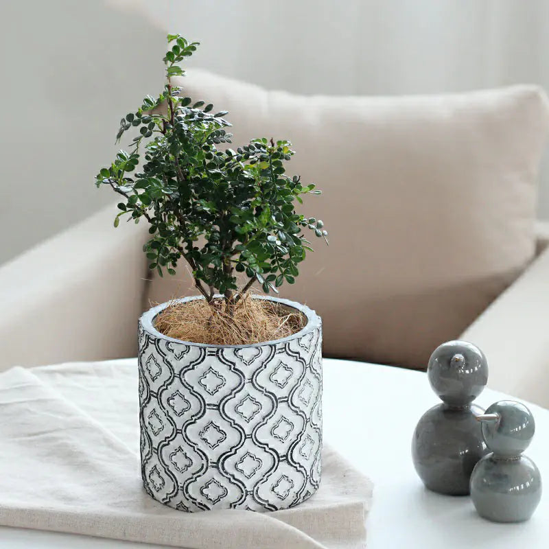 Vintage Luxury Creative Indoor Plant Pot with Patterns