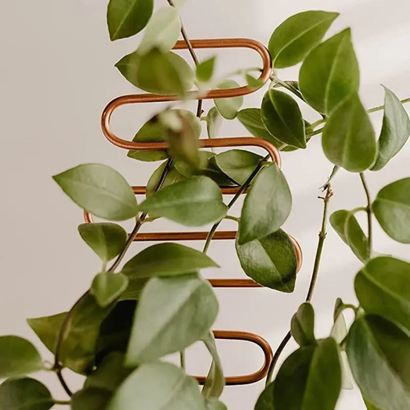 Creative Geometric Metal Plant Support Stand