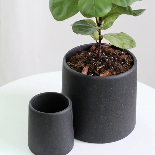 "High-End Minimalist Concrete Indoor Plant Pot"
