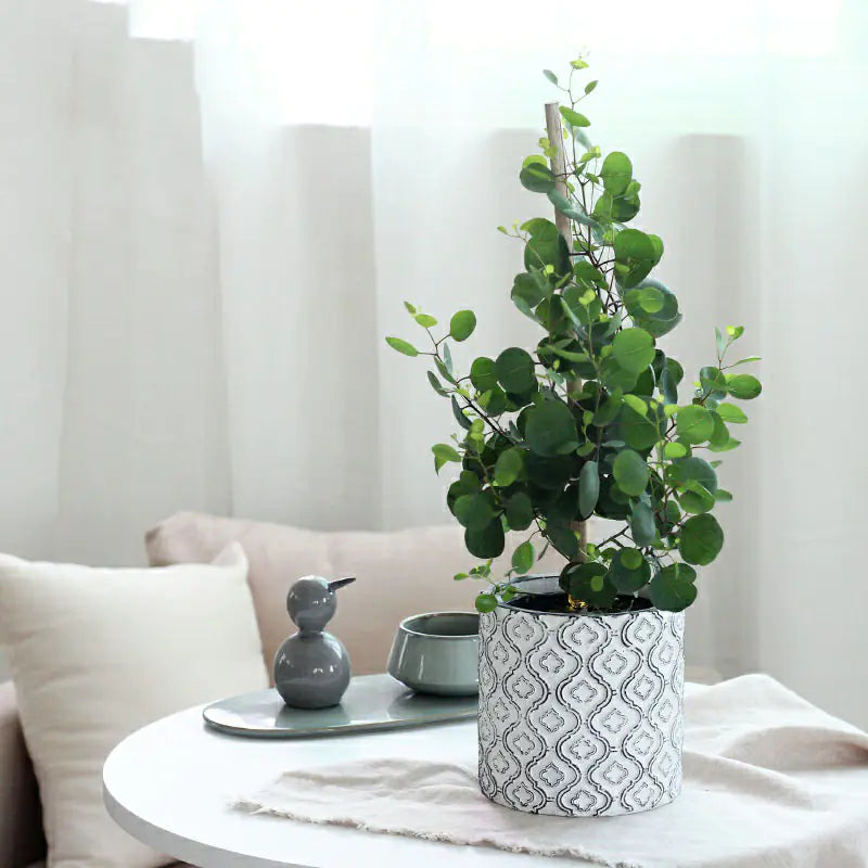Vintage Luxury Creative Indoor Plant Pot with Patterns