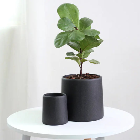 "High-End Minimalist Concrete Indoor Plant Pot"