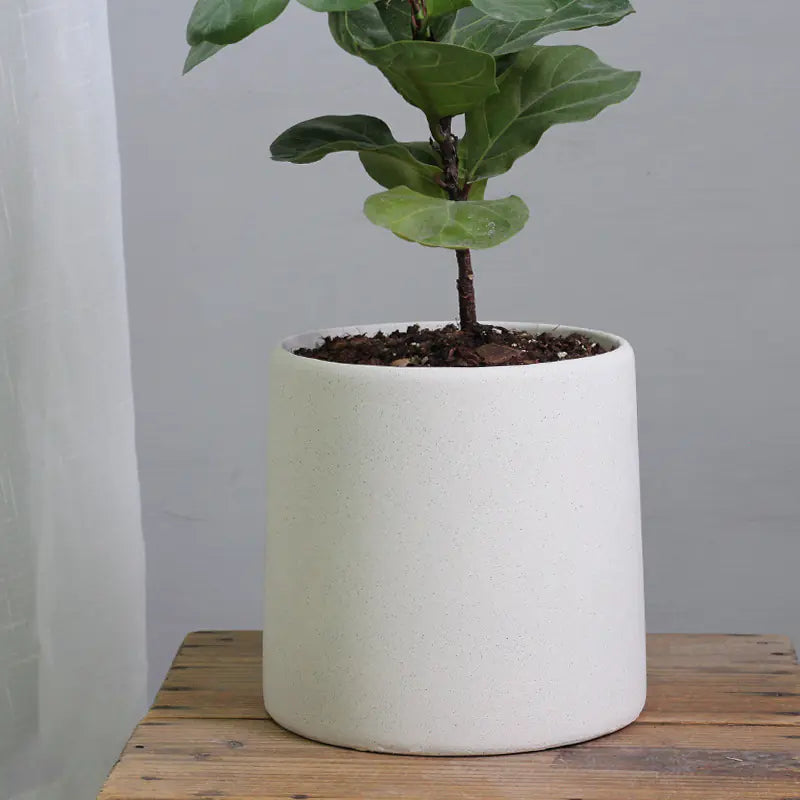 "High-End Minimalist Concrete Indoor Plant Pot"