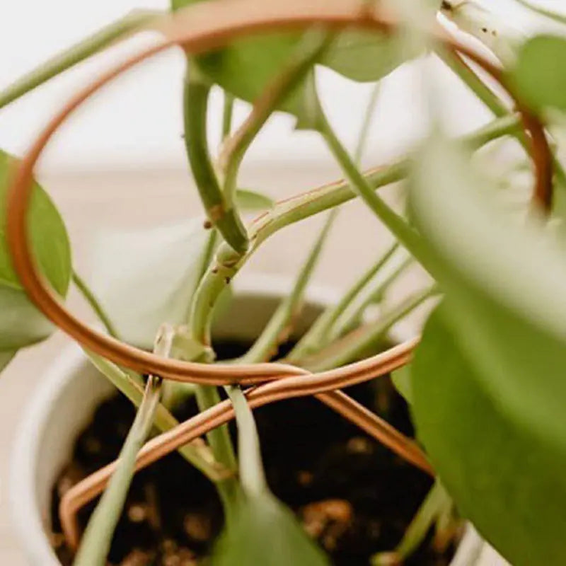 Creative Geometric Metal Plant Support Stand