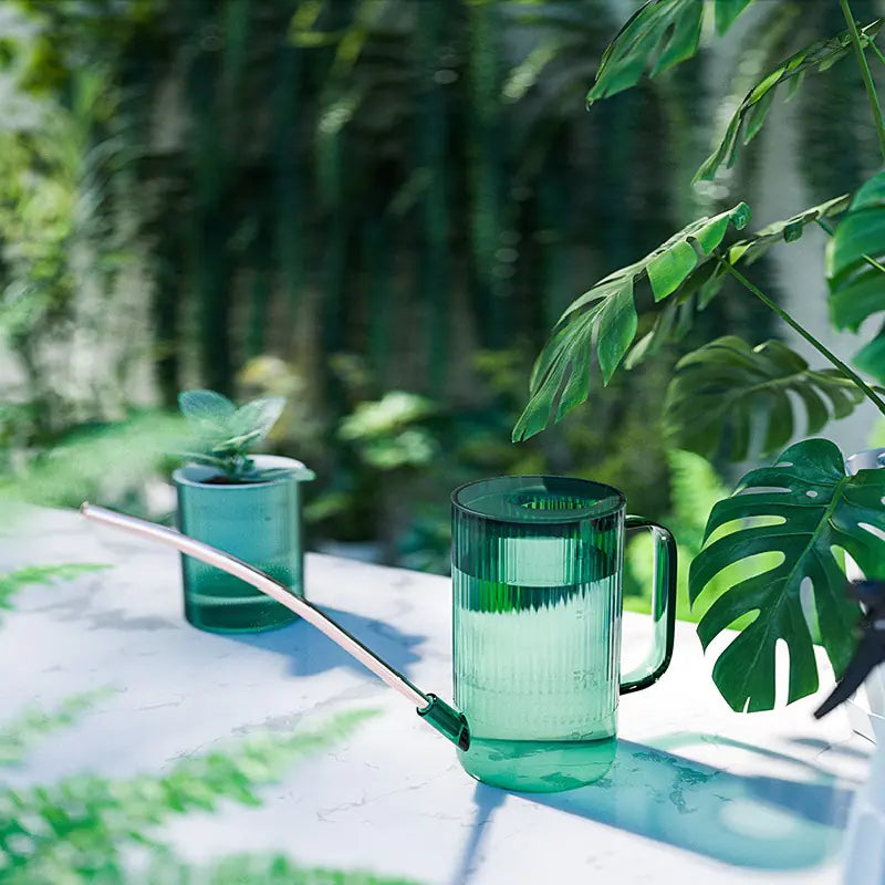 1L Watering Can for Gardening and Plant Care Tools