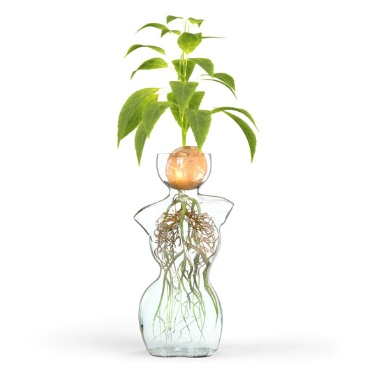 Elegant Female Silhouette Glass Vase by HMC for Plant Propagation and Flower Arrangements - Perfect for Seed Starting Water Rooting and Home Decor - Ideal for Avocado Bulbs and Plant Cuttings