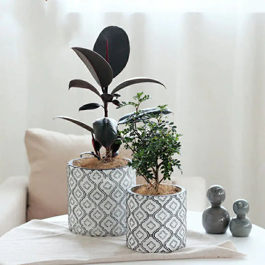 Vintage Luxury Creative Indoor Plant Pot with Patterns