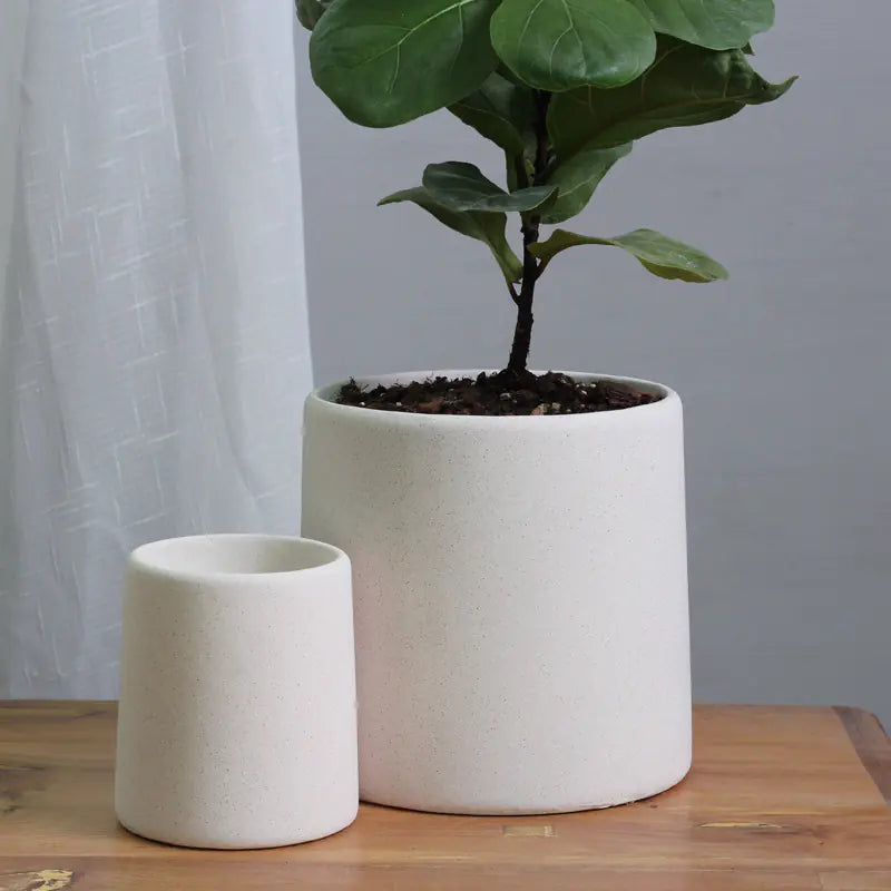 "High-End Minimalist Concrete Indoor Plant Pot"