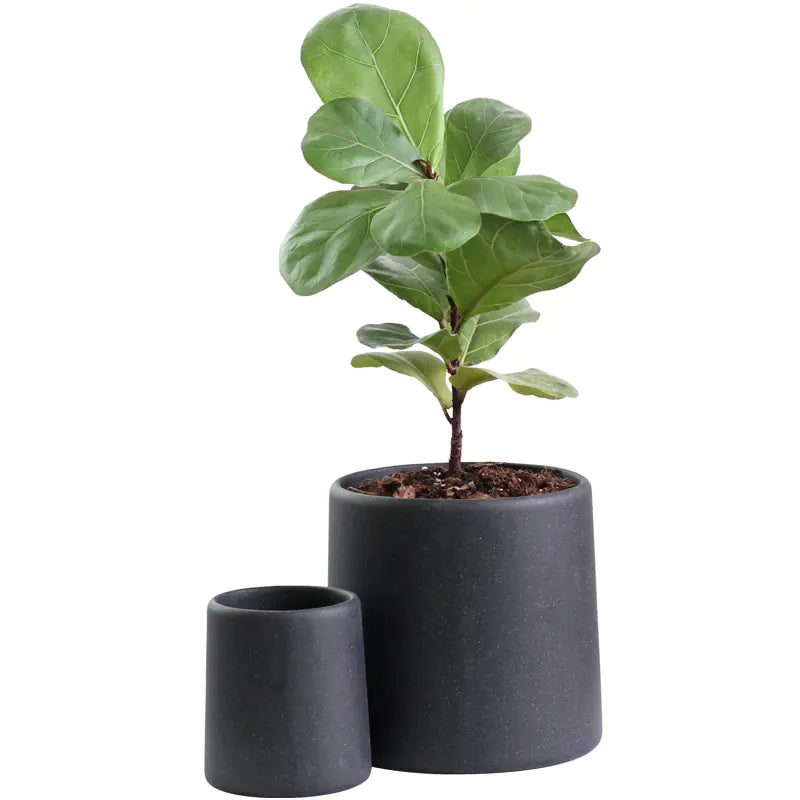 "High-End Minimalist Concrete Indoor Plant Pot"